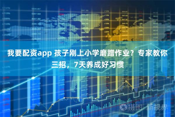 我要配资app 孩子刚上小学磨蹭作业？专家教你三招，7天养成好习惯