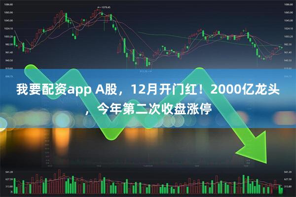 我要配资app A股，12月开门红！2000亿龙头，今年第二次收盘涨停